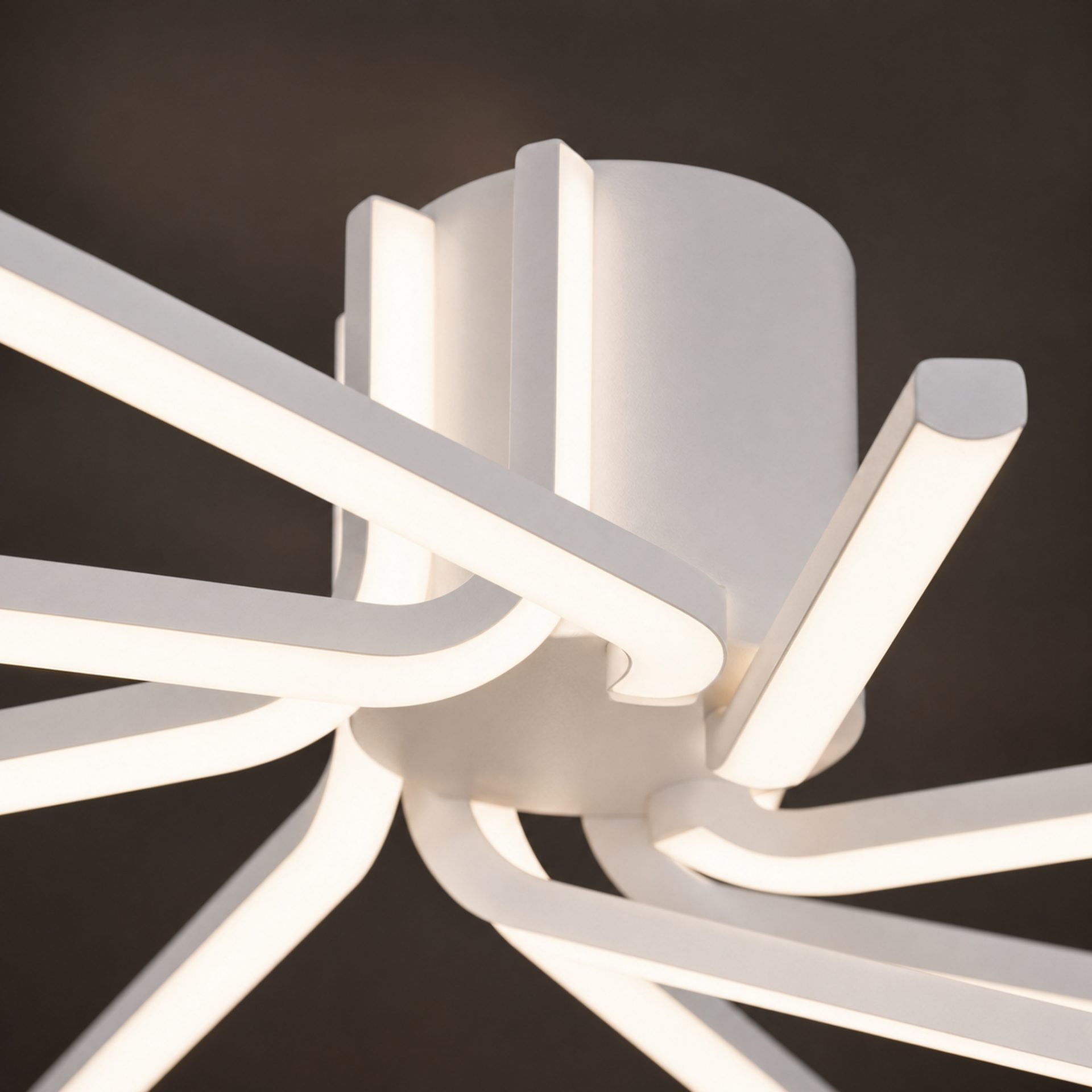 Detaliu design floral IBANE